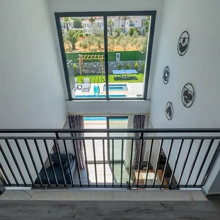 فيلة Olivin فتحية